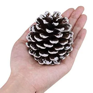 20-Piece Snow Tipped Real Natural Dried Pine Cones Frosted Pinecones Ornaments 2" - 3" Tall for Home...