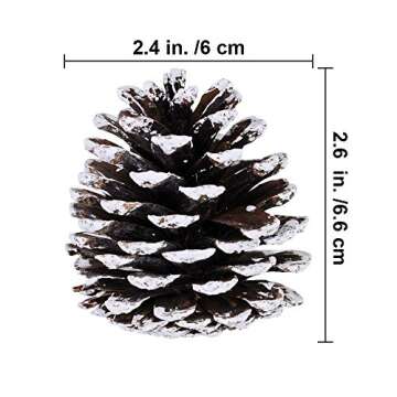 20-Piece Snow Tipped Real Natural Dried Pine Cones Frosted Pinecones Ornaments 2" - 3" Tall for Home Decor Christmas Winter Xmas Rustic Country Decoration