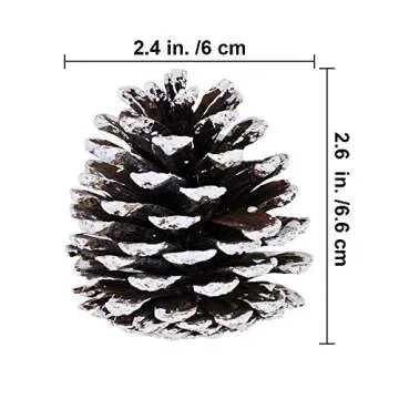 20-Piece Snow Tipped Real Natural Dried Pine Cones Frosted Pinecones Ornaments 2" - 3" Tall for Home Decor Christmas Winter Xmas Rustic Country Decoration