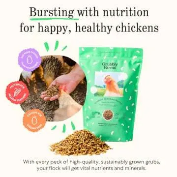 Grubblies Chicken Treats - Protein-Rich Black Soldier Fly Grubs