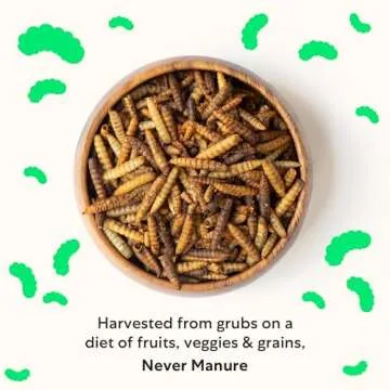Grubblies Chicken Treats - Protein-Rich Black Soldier Fly Grubs