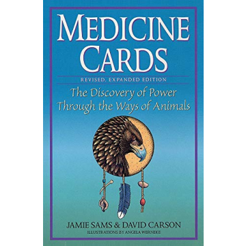 US Games Medicine Cards & Book Set for Intuitive Insights