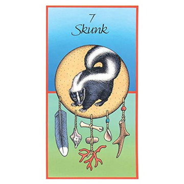 Discover the US Games Medicine Cards & Book set