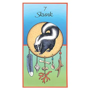 Discover the US Games Medicine Cards & Book set