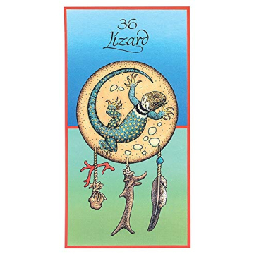 Discover the US Games Medicine Cards & Book set