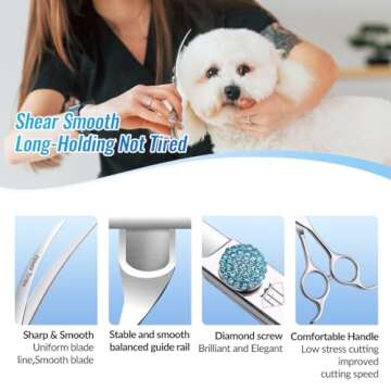 Fenice 6.5" Curved Shears for Pet Grooming - High Quality