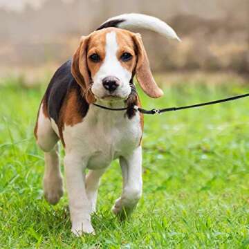 Wellbro Slip Dog Leash - Soft, Adjustable & Durable