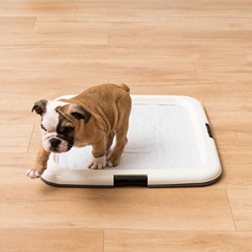 IRIS USA Secure Non-Skid Pee Pad Holder for Dogs