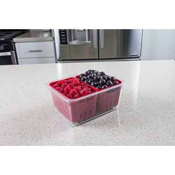 Stackable BPA-Free Twin Colander Bin for Fresh Produce Storage