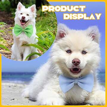 Cinderella 120 Pcs Dog Bow Ties Set – Assorted Colors for Pets