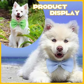 Cinderella 120 Pcs Dog Bow Ties Set – Assorted Colors for Pets