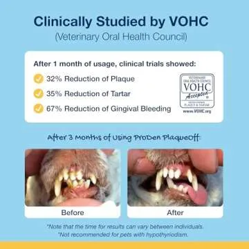 Dental Care Bones for Dogs - Natural & Healthy Treats