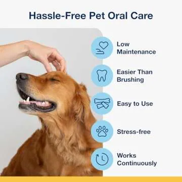 Dental Care Bones for Dogs - Natural & Healthy Treats