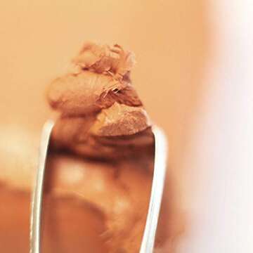 Mont Marte Terracotta Color Air Hardening Modeling Clay 500g (1.1lb). Terracotta Color Air Dry Clay with Drying Time of Approximately 24 Hours. Suitable for Sculptors and Modelers of All Skill Levels.