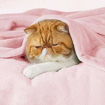 Bedsure Fleece Throw Blanket Pink - 300GSM Valentines Blankets for Couch, Sofa, Bed, Soft Lightweight Plush Cozy Throws for Toddlers, Girls