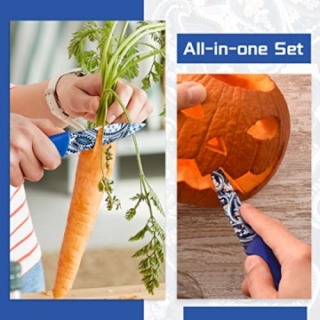 Astercook Paisley Knife Set - Sharp and Colorful Knives