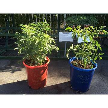 Myko Start Paks Organic Fertilizer with MYKOS 24 Count