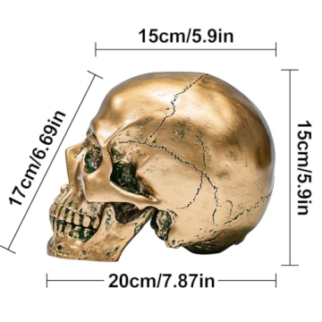Life Size ECYC Resin Human Skull for Halloween Decor