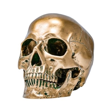 Life Size ECYC Resin Human Skull for Halloween Decor