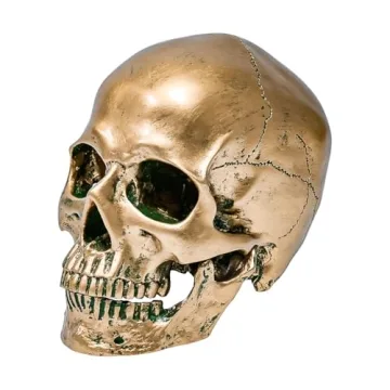 Life Size ECYC Resin Human Skull for Halloween Decor