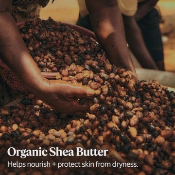 L'OCCITANE Verbena Shea Butter Lotion 10.1 Oz