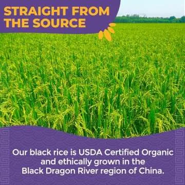 Lotus Foods Organic Forbidden Rice - Black Rice Organic, Purple Rice, Black Rice Bulk, Gluten Free Heirloom Rice, Whole Grain, Non GMO, Vegan - 15 Oz Bag (Pack of 1)
