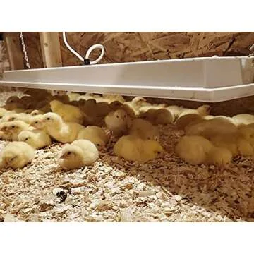Sweeter Heater Safe for Pets, Coops, & Chicks 150W