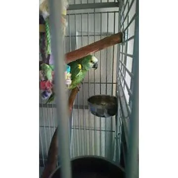 Sweeter Heater Safe for Pets, Coops, & Chicks 150W