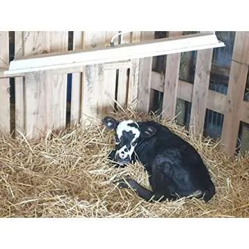 Sweeter Heater Safe for Pets, Coops, & Chicks 150W