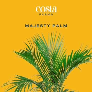 Costa Farms Majesty Palm Live Plant, Indoor and Outdoor Live Palm Tree, Potted in Natural Plant Pot,...