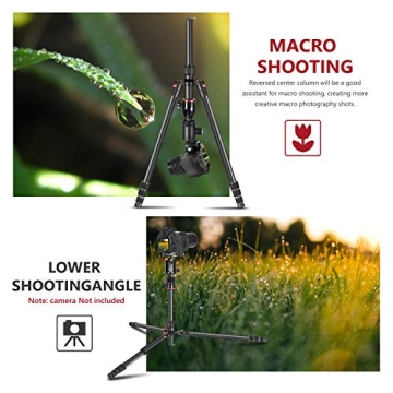 Neewer 2-in-1 Camera Tripod Monopod - 75.2 in Versatility