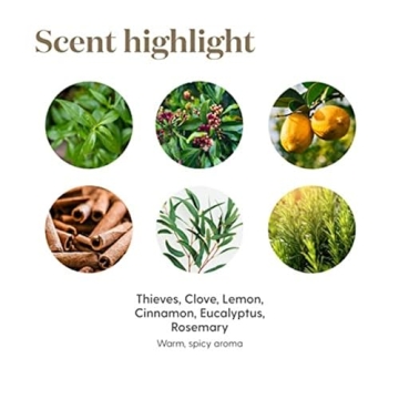 Thieves Plant-Based Cleaner Safe for Families Pets