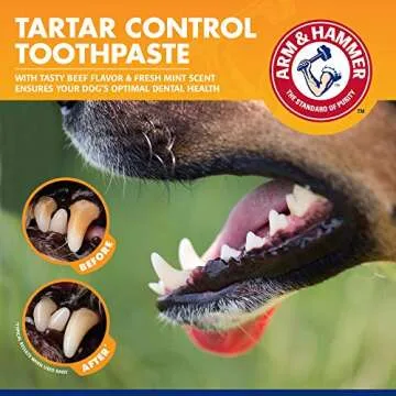 Arm & Hammer for Pets Tartar Control Enzymatic Toothpaste for Dogs Reduces Plaque & Tartar Buildup Safe for Puppies Beef Flavor, 2.5 Ounces Dog Toothpaste (Pack of 1)