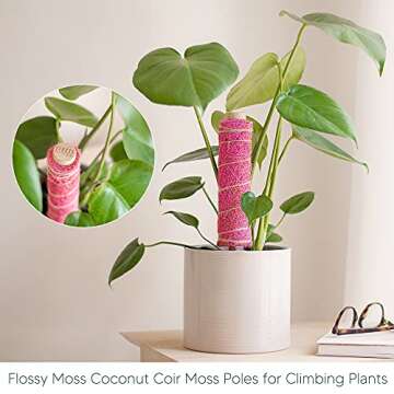 Flossy Moss Coconut Coir Moss Poles for Climbing Plants – Eco Friendly Coir Moss Poles for Potted Plants – Durable Design – Set of 2 Stackable Moss Poles for Plants – Included 6ft Garden Velcro Ties