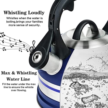 Kanmart 2.5L Whistling Tea Kettle - Stainless Steel & Stylish Boil