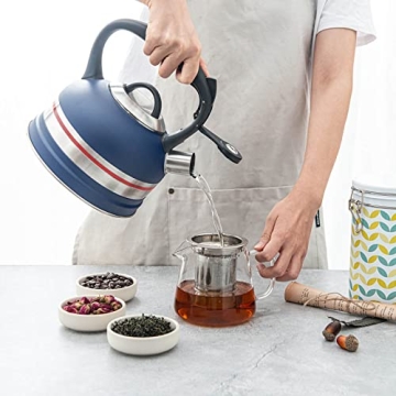 Kanmart 2.5L Whistling Tea Kettle - Stainless Steel & Stylish Boil