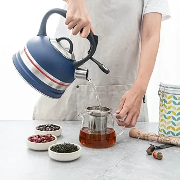 Kanmart 2.5L Whistling Tea Kettle - Stainless Steel & Stylish Boil