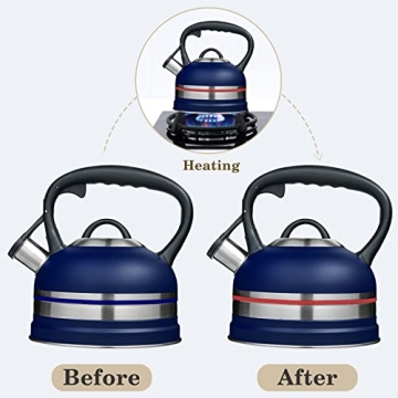 Kanmart 2.5L Whistling Tea Kettle - Stainless Steel & Stylish Boil