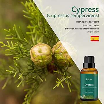 Cypress Essential Oil, ESSLUX Aromatherapy Essential Oils for Diffuser, Massage, Perfume, Incense, 30 ml