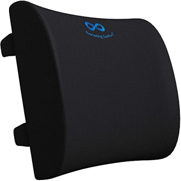 Everlasting Comfort Lumbar Support Pillow for All-Day Relief