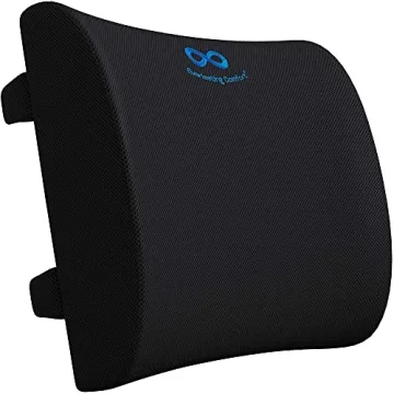 Everlasting Comfort Lumbar Support Pillow for All-Day Relief