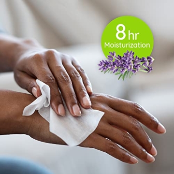 Wet Ones Antibacterial Hand Wipes for Clean Hands Anytime