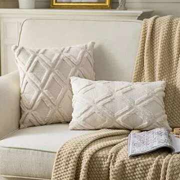 Neelvin Pack of 2 Soft Plush Short Wool Velvet Decorative Throw Pillow Covers Cushion Case Pillowcase for Sofa Couch