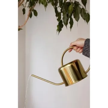 Kikkerland Vintage Watering Can in Gold for Plants