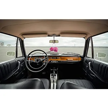 YGMONER Pink Fuzzy Dice for Cars - Retro Plush Decor