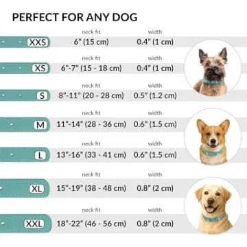 CollarDirect Rolled Leather Dog Collar - Soft and Durable