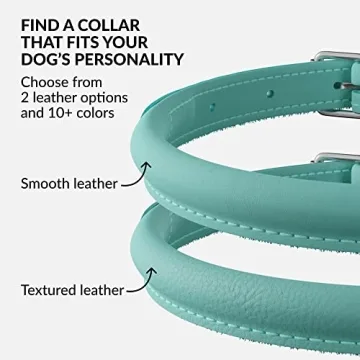 CollarDirect Rolled Leather Dog Collar - Soft and Durable