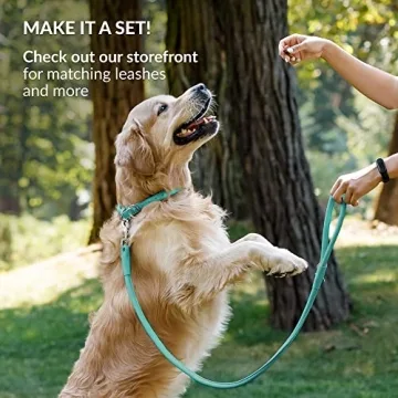 CollarDirect Rolled Leather Dog Collar - Soft and Durable