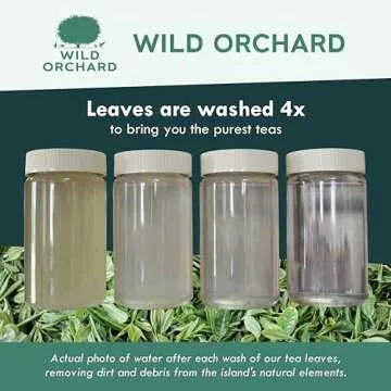 Wild Orchard Premium Organic Green Tea from Jeju Island