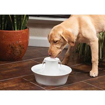 PetSafe Drinkwell Avalon Ceramic Pet Water Fountain
